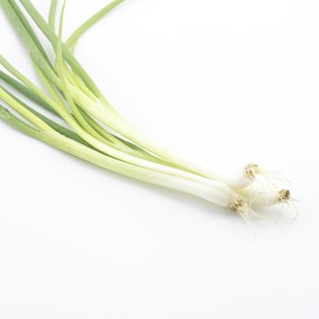 spring onion isolated on white background