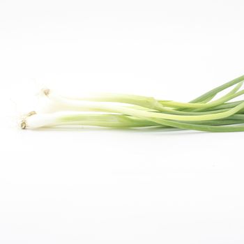 spring onion isolated on white background