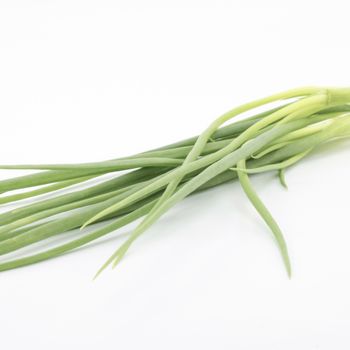 spring onion isolated on white background