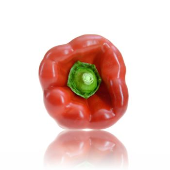 Fresh Capsicum isolated against a plain background