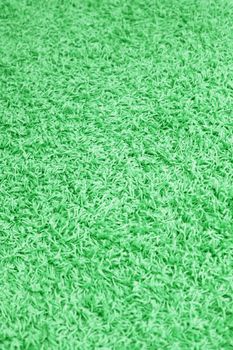 A close up shot of natural carpet