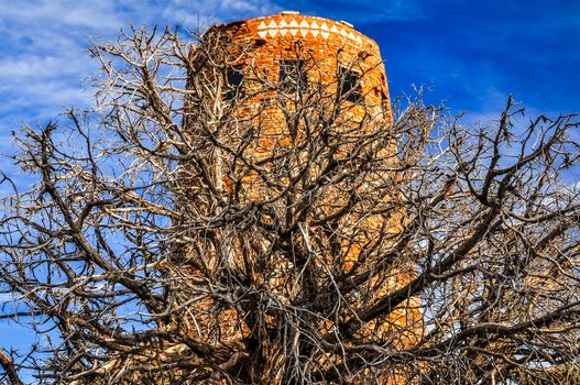 View of watchtower in Grand canyon with dry tree foreground, Arizona, USA