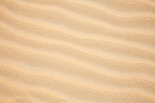 Sand dune ripples close up