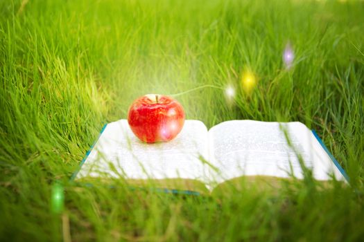 fairy book and apple