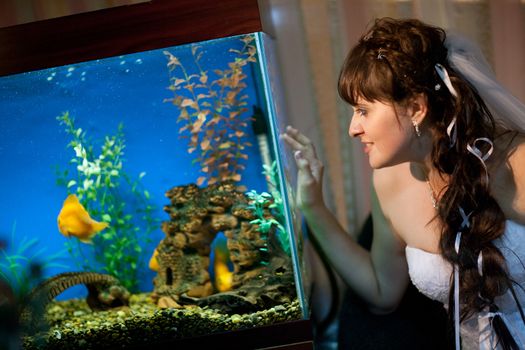 bride watches fishes in aquarium