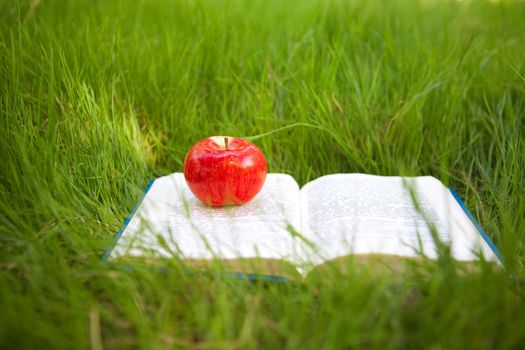 apple on the book