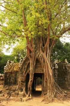 Ta Som temple, Angkor area, Siem Reap, Cambodia