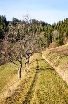Footpath through the Countryside, taken in Upper Austria