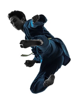 one asian young man exercising martial arts karate vietvodao in silhouette studio isolated on white background