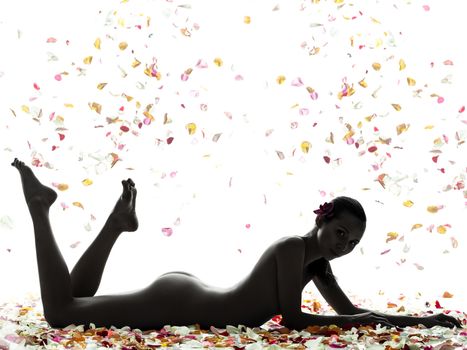 one beautiful asian woman naked lying with petal flowers in silhouette studio isolated on white background