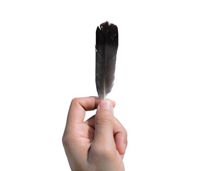 Hand holding a small feather, isolota on white background