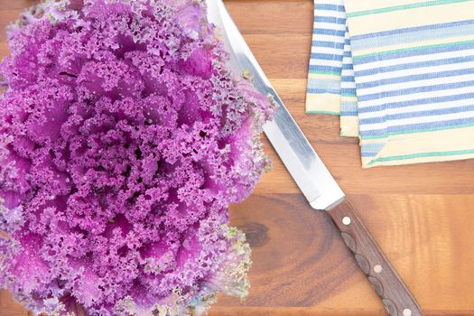 Preparing purple kale for cooking in the kitchen with an overhead view of a whole fresh leafy head alongside a knife and cloth on a new wooden cutting board