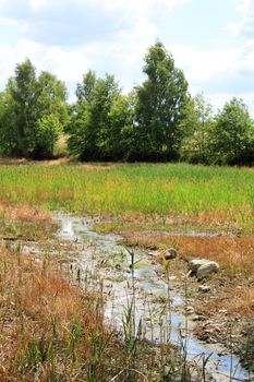 A small stream between fields