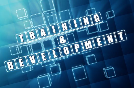 training and development - text in 3d blue glass cubes with white letters, business education concept