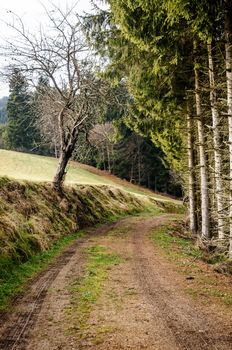 Footpath in Upper Austria trough the Countryside