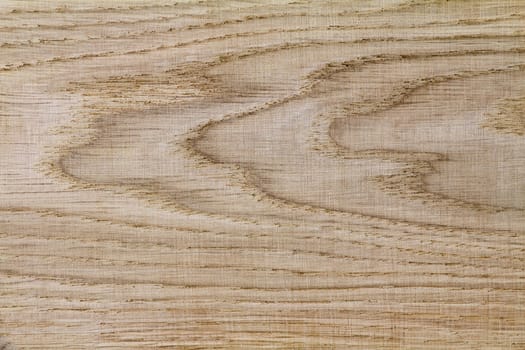 Part of sawn and polished oak with a beautiful textured, ( background image)