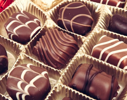 Delicious Chocolate Pralines