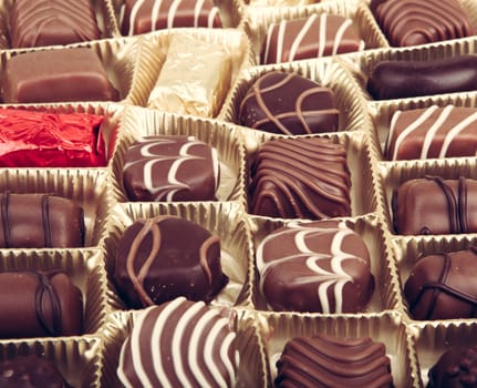 Delicious Chocolate Pralines