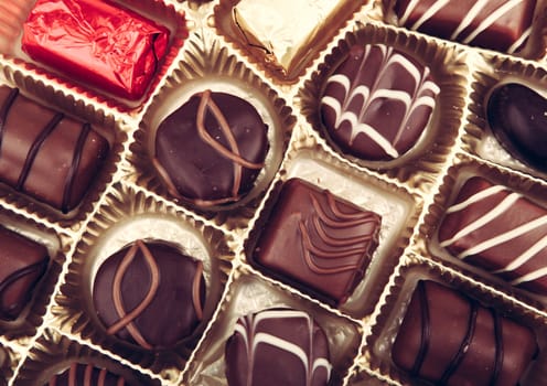 Delicious Chocolate Pralines