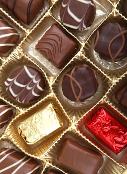 Delicious Chocolate Pralines