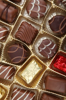 Delicious Chocolate Pralines