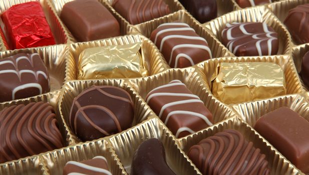 Delicious Chocolate Pralines