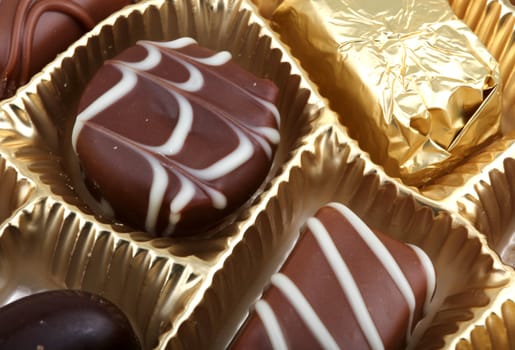 Delicious Chocolate Pralines