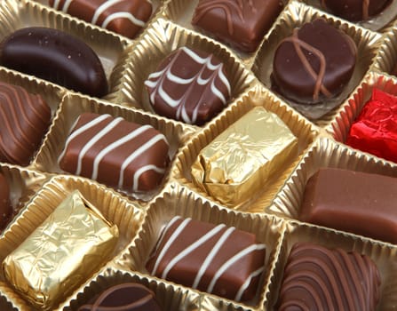 Delicious Chocolate Pralines