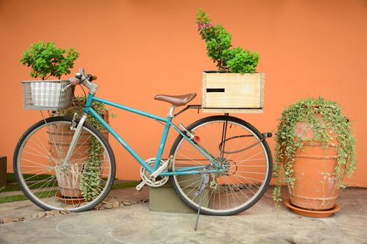 green vintage bicycle and plant