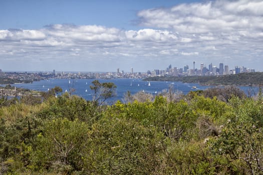 Sydney and harbour from North Point