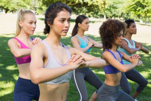 Group of young sporty women exercising together in park