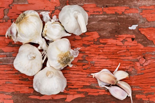 Whole bulbs of fresh uncooked garlic with a few loose scattered cloves for use as a pungent flavoring in cooking lying on a distressed grungy wooden surface with red peeling paint with copyspace