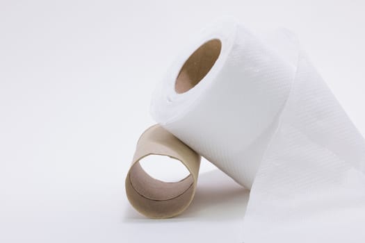 toilet paper roll with its center.