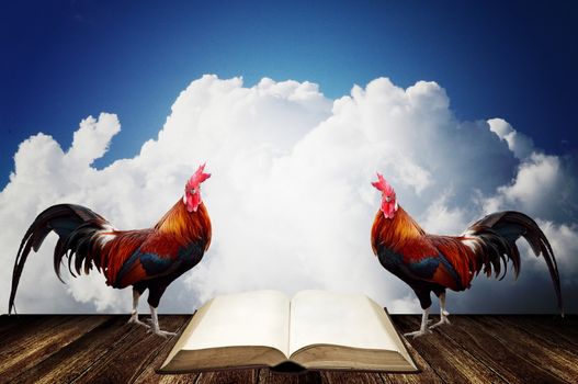 Wake up with rooster crows for read a book concept
