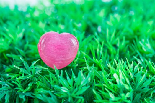 Love Red Heart on green grass for valentines day
