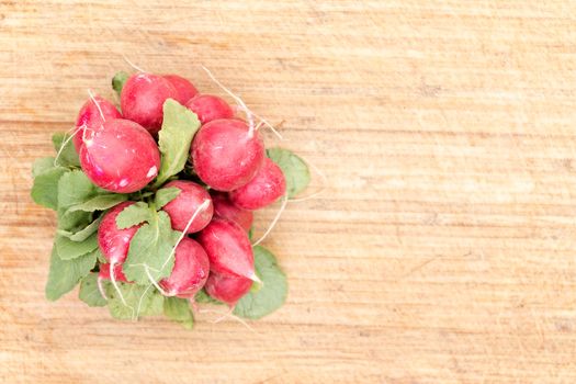 Bunch or farm fresh crisp red radishes on an old bamboo cutting board with copyspace, view from above