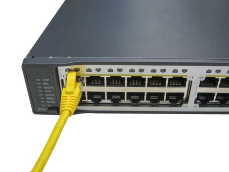 ethernet cables connected to servers on white background