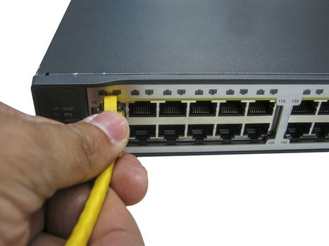hand with ethernet cables connected to servers on white background