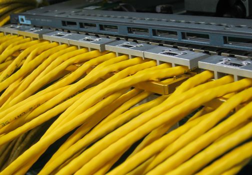 Ethernet RJ45 cables are connected to internet switch on business server network