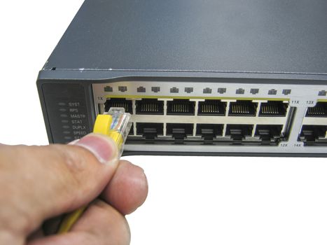 hand with ethernet cables connected to servers on white background