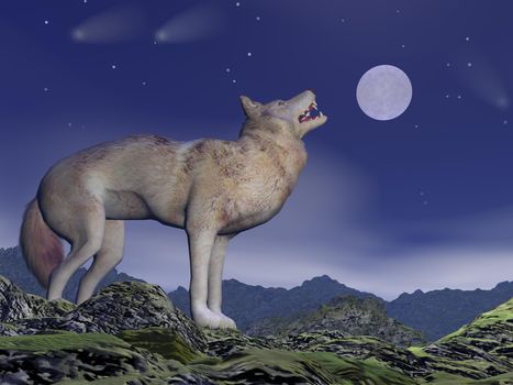 One wolf howling at full moon by deep blue night upon the mountains