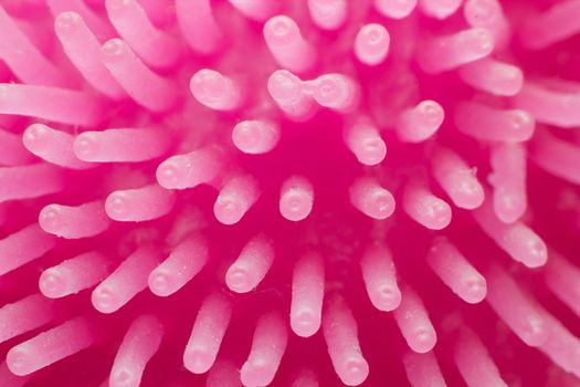 Abstrack pink anemone like texture background