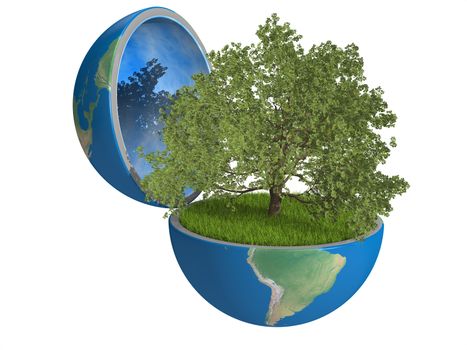 Oak tree growing inside opened planet Earth, isolated on white background, concept of ecology. Elements of this image furnished by NASA