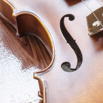 string instrument "violin" on wood background