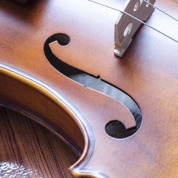 string instrument "violin" on wood background