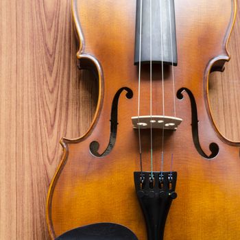 string instrument "violin" on wood background