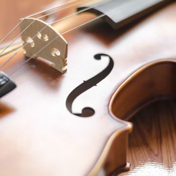 string instrument "violin" on wood background