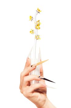 extremely long nails with nail-art and crystal jewellery,