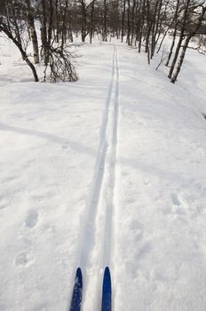 A pair of ski and skitracks in the forest. Vertical image