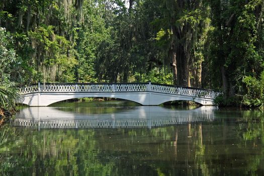Bridge over a pond in Charleston, SC.
